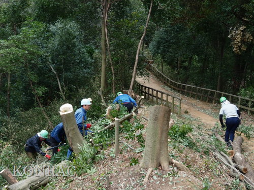 ���R��y��