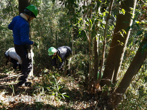 ���R��y��