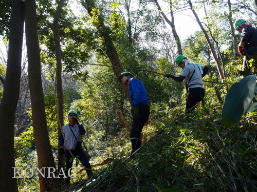 ���R��y��