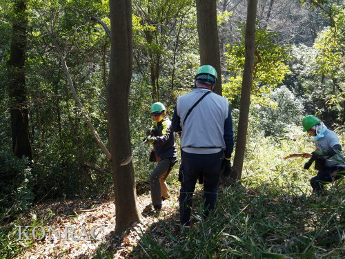 ���R��y��