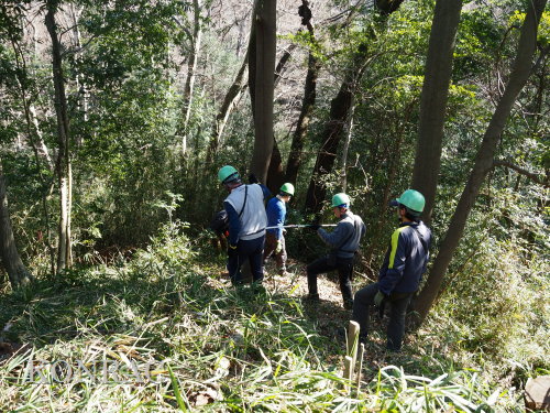 ���R��y��