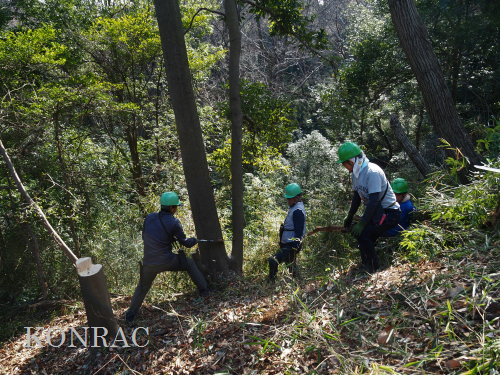 ���R��y��