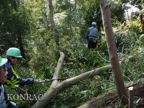 ���R��y��