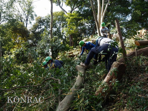 ���R��y��