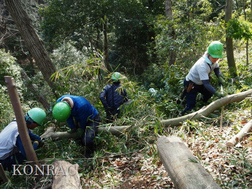 ���R��y��