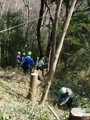 ���R��y��