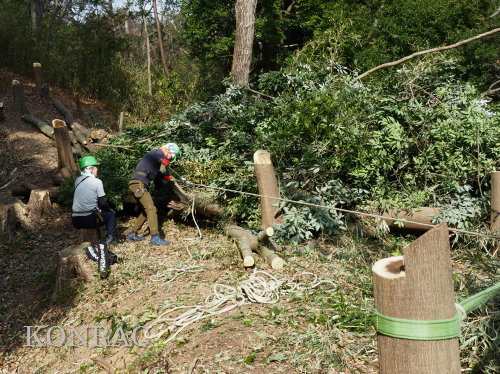 ���R��y��