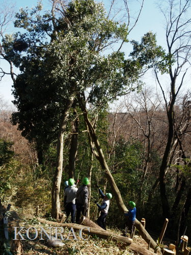 ���R��y��