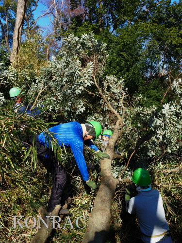 ���R��y��