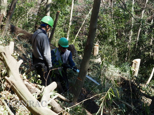 ���R��y��