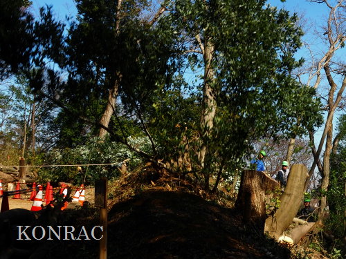 ���R��y��