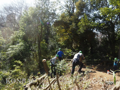 ���R��y��