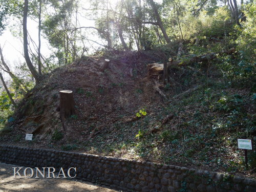 ���R��y��