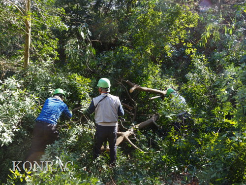 ���R��y��