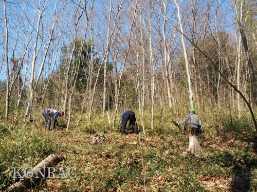 ���R��y��