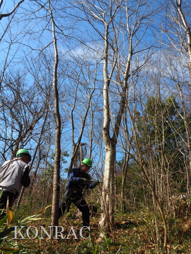 ���R��y��