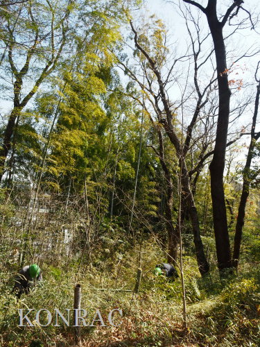 ���R��y��