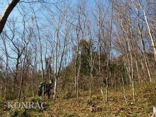 ���R��y��