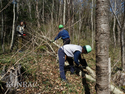 ���R��y��