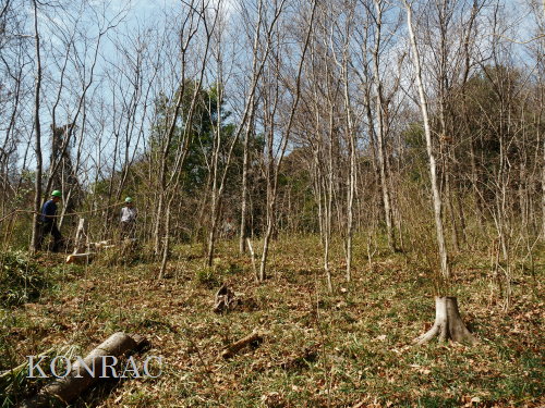 ���R��y��