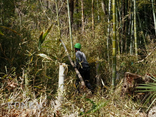 ���R��y��