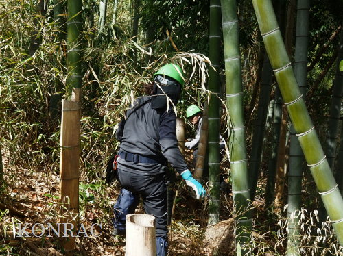 ���R��y��