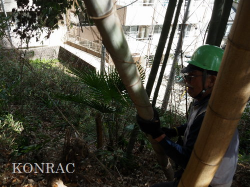 ���R��y��