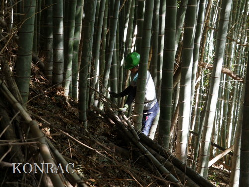 ���R��y��