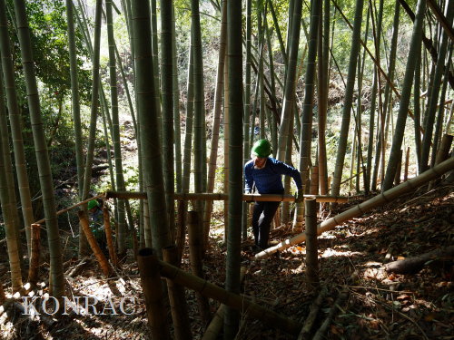 ���R��y��