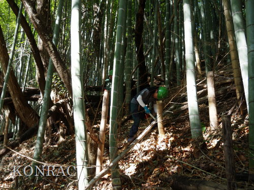 ���R��y��