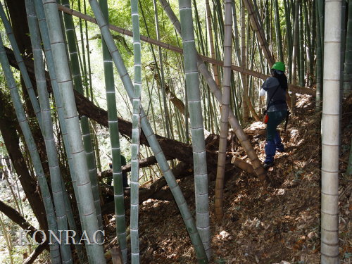 ���R��y��