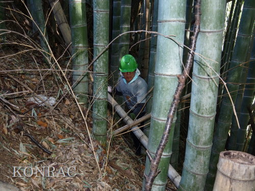 ���R��y��