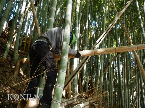 ���R��y��