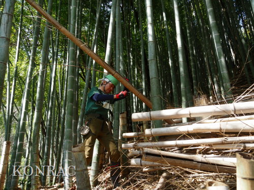 ���R��y��