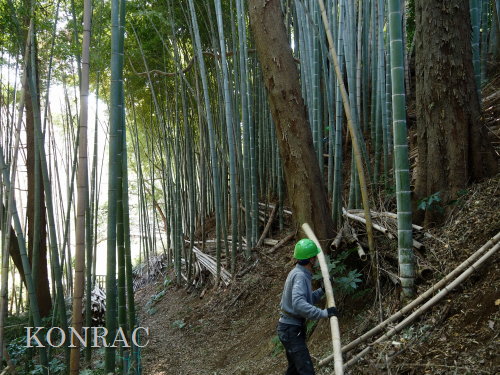 ���R��y��