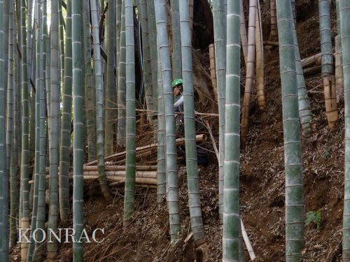 ���R��y��