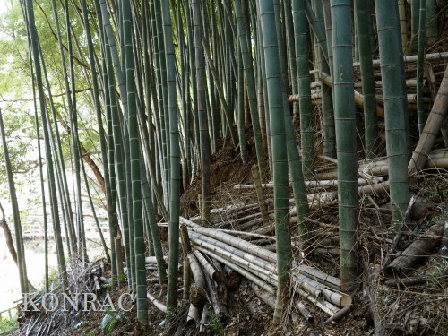 ���R��y��