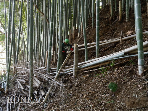 ���R��y��