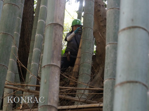 ���R��y��