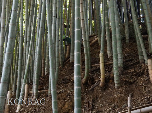 ���R��y��