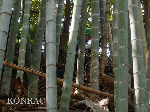 ���R��y��