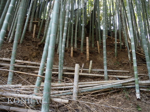 ���R��y��