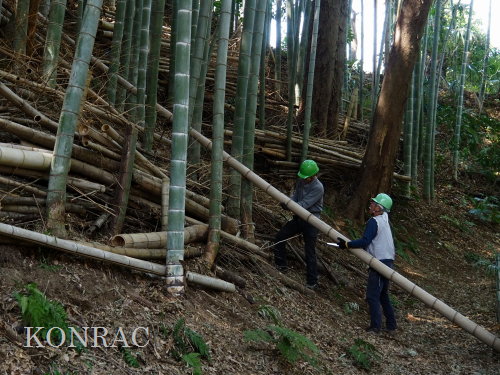 ���R��y��