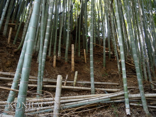 ���R��y��