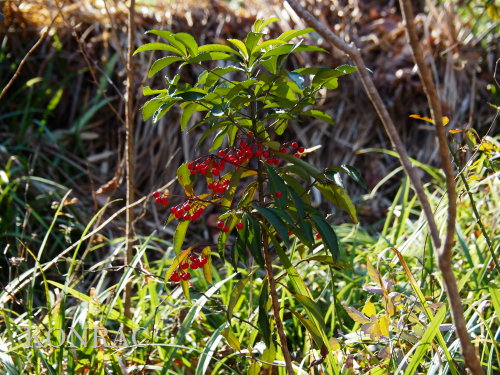 �}�������E